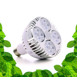 SpectraBULB X30 - Witte tuinbouwbol voor groene planten