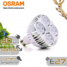 SpectraBULB X30 - Ampoule horticole blanche pour plantes vertes