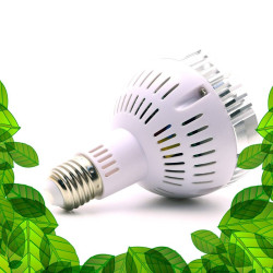 SpectraBULB X30 - Ampoule horticole blanche pour plantes vertes