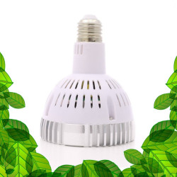 SpectraBULB X30 - Ampoule horticole blanche pour plantes vertes