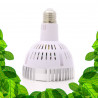 SpectraBULB X30 - Ampoule horticole blanche pour plantes vertes