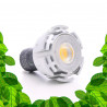 Ampoule GU10 pour plantes vertes, bonsais et cadres végétaux