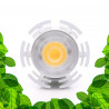 GU10 lamp voor groene planten, bonsai en plantenframes