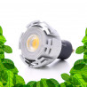 Ampoule GU10 pour plantes vertes, bonsais et cadres végétaux