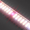 SpectraB.2.G X45 60cm - Barre horticole LEDs pour croissance & floraison