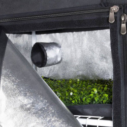 Probox Propagator L - 60 x 40 x 200cm - Garden HighPro