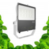 Lampe horticole LED 100W - GVL SPOT V4 - Eclairage pour plantes vertes et murs végétaux