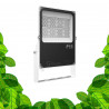 50W LED tuinbouwlamp - GVL SPOT V4 - Verlichting voor groene planten en groene muren