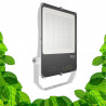 Lampe horticole LED 200W - GVL SPOT V4 - Eclairage pour plantes vertes et murs végétaux