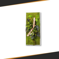 Cadre Végétal Stabilisé - Rectangle Taille L