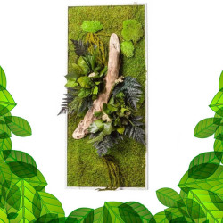 Gestabiliseerd Plantenframe - Rechthoek Maat L