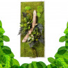 Gestabiliseerd Plantenframe - Rechthoek Maat L
