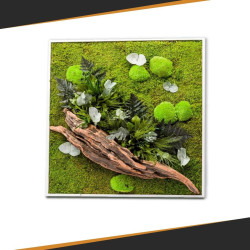 Gestabiliseerd Plantenframe - Vierkant Maat XL