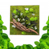 Gestabiliseerd Plantenframe - Vierkant Maat XL