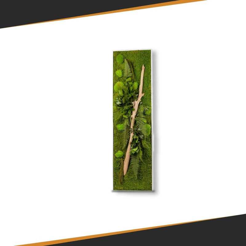 Gestabiliseerd Plantenframe - Rechthoek Maat XL