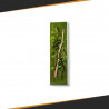 Gestabiliseerd Plantenframe - Rechthoek Maat XL