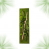 Gestabiliseerd Plantenframe - Rechthoek Maat XL