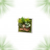 Stabilized Plant Frame - Mini Size