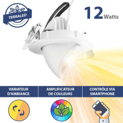 Gestuurde inbouwspot 12W - Spectrum/intensiteit variatie - 60° - Uitsparing 100mm