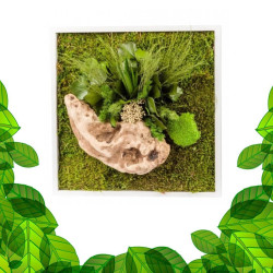 Gestabiliseerd Plantenframe - Vierkant Maat M
