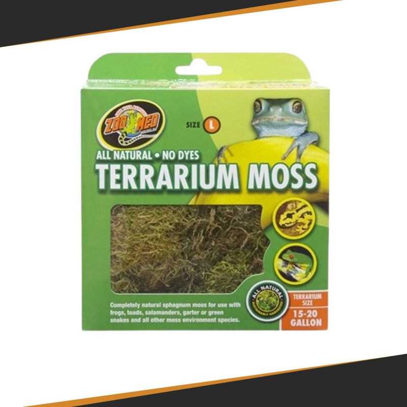 Mousse pour Terrarium - Différentes tailles