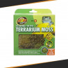 Mousse pour Terrarium - Différentes tailles