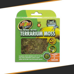 Mousse pour Terrarium - Différentes tailles