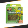 Mousse pour Terrarium - Différentes tailles