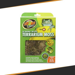 Mousse pour Terrarium - Différentes tailles