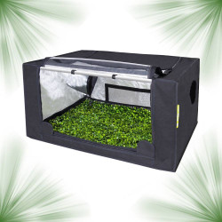 Probox Propagator S - 60 x 40 x 40cm- Garden HighPro