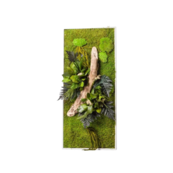 Cadre Végétal Stabilisé 90x40cm