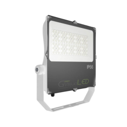 100W LED tuinbouwlamp - GVL SPOT V4 IP66