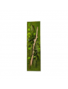 Gestabiliseerd Plantenframe 140x40cm