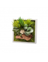 Stabilized Vegetable Frame 22x22cm