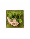 Gestabiliseerd Plantenframe 35x35cm