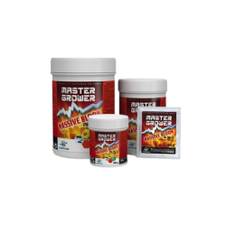 Booster de floraison Massive BLOOM - Hydropassion