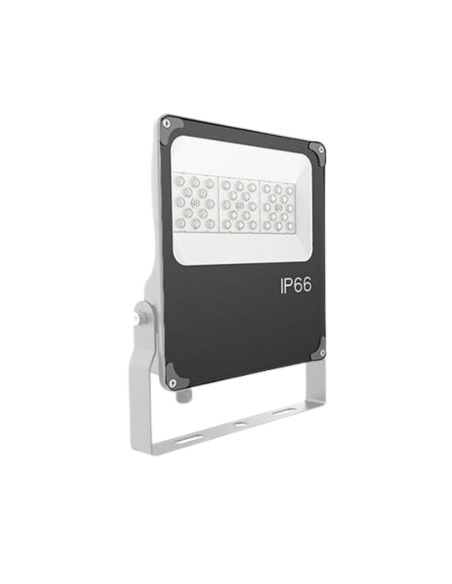 LED horticultural lamp 30W - GVL SPOT V4 IP66