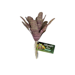 Plante artificielle Chestnut Bromeliad - 14 cm - ZOOMED