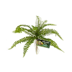 Artificial plant Sword Fern - 13 cm - ZOOMED