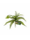 Zwaardvaren kunstplant - 13 cm - GEZOOMD