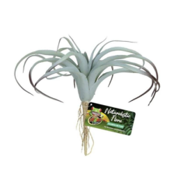 Plante artificielle Tillandsia Air - 30 cm - ZOOMED