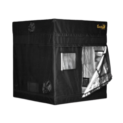 Box de culture - Gorilla Shorty Indoor - 150x150x150/170cm
