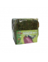 Terrarienschaum - TERRARIUM MOSS - 5,6L - ZOOMED