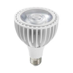 SpectraBULB X20 – Weiße Gartenzwiebel für Grünpflanzen