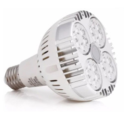 SpectraBULB X30 - Ampoule horticole blanche pour plantes vertes