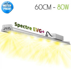 XModule 80W — Barre LED