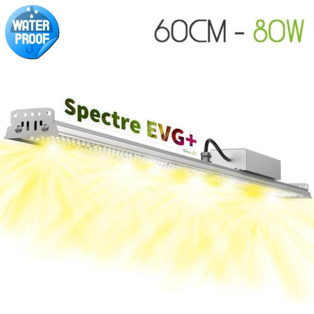 Lampe horticole pour plantes vertes