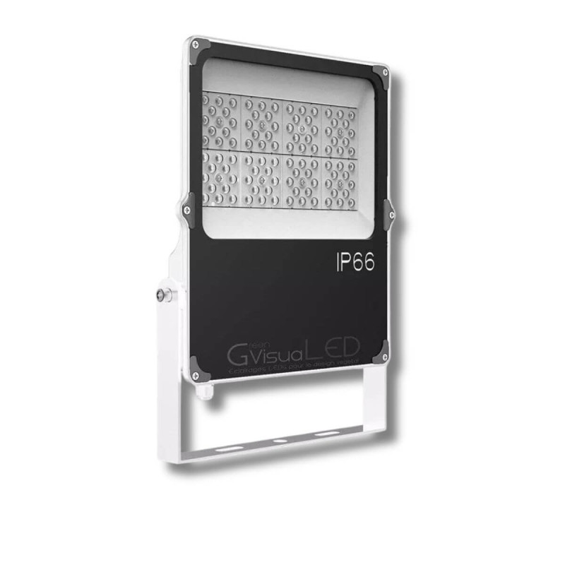 50W LED tuinbouwlamp - GVL SPOT V4 IP66