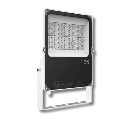 Lampe horticole LED 50W - GVL SPOT V4 - Eclairage pour plantes vertes et murs végétaux