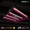 SpectraWILD S320 - Full Spectrum LED kweeklampen - 320W - 80x80 - Samsung